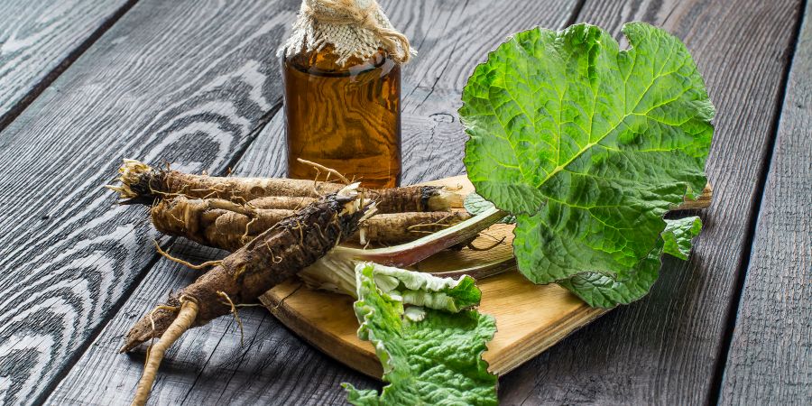 Burdock root Eraorganics